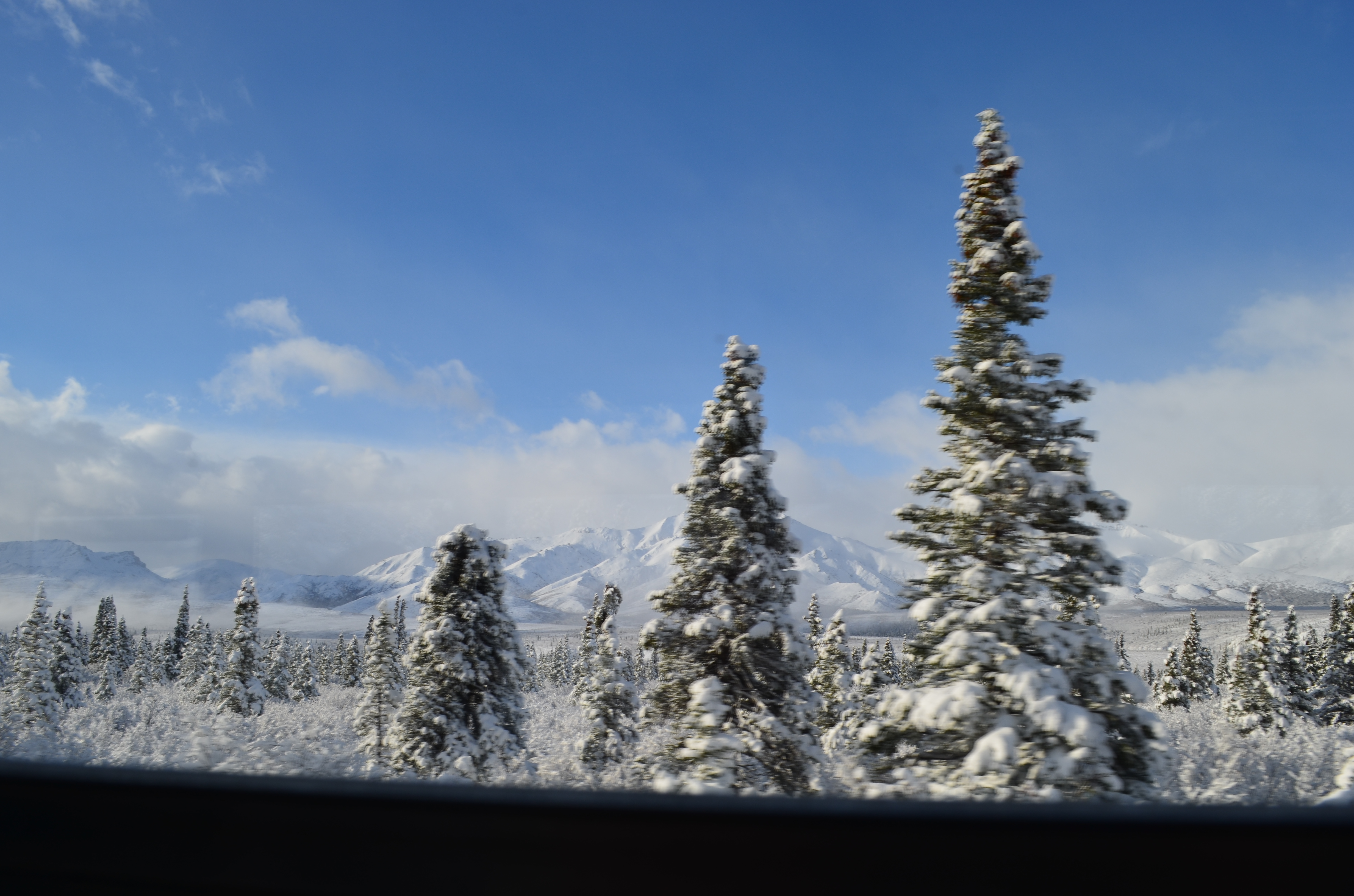 ./2017/08 - Alaska Cruise/03 - Denali/DSC_0214.JPG